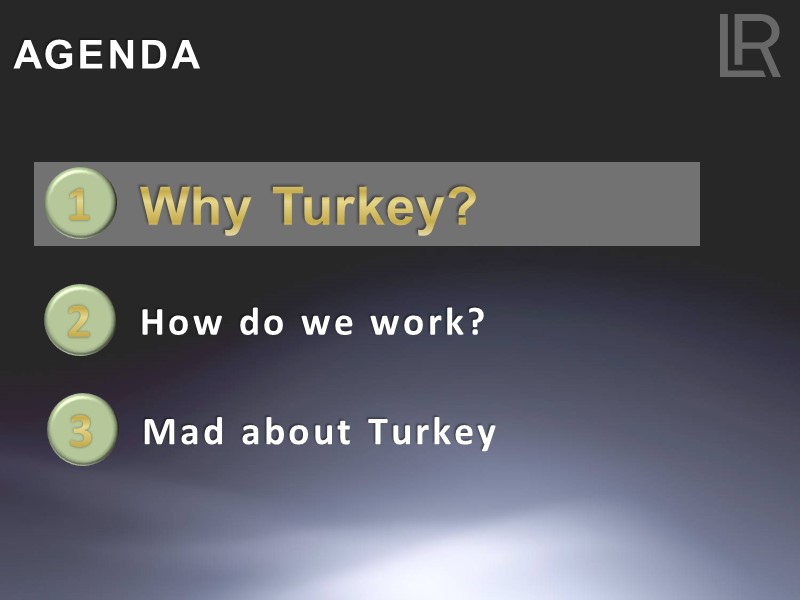 How do we work? 2 Mad about Turkey 3 AGENDA Why Turkey? 1